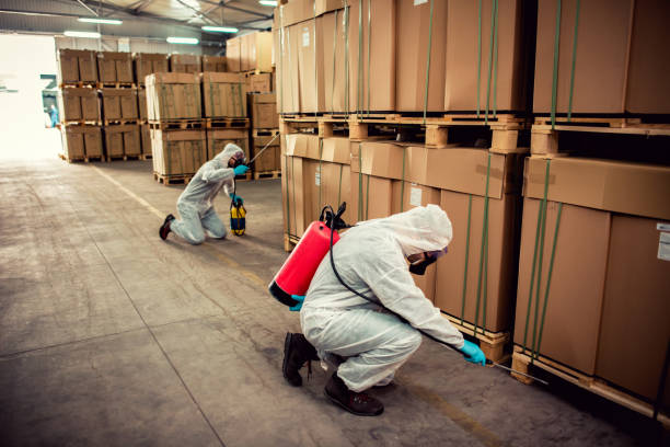 Best Best Pest Control Companies  in Oak Point, TX