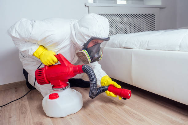 Best Local Pest Control Services  in Oak Point, TX