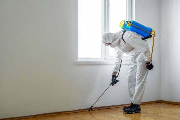 Wildlife Control Services in Oak Point, TX