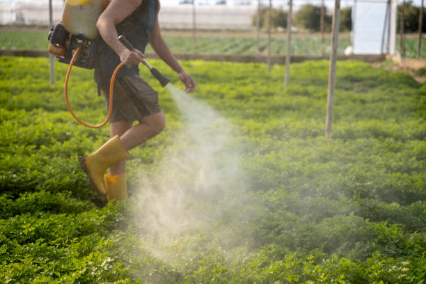 Best Wildlife Control Services  in Oak Point, TX