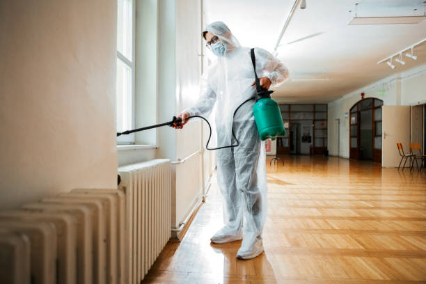 Best Cockroach Control Services  in Oak Point, TX
