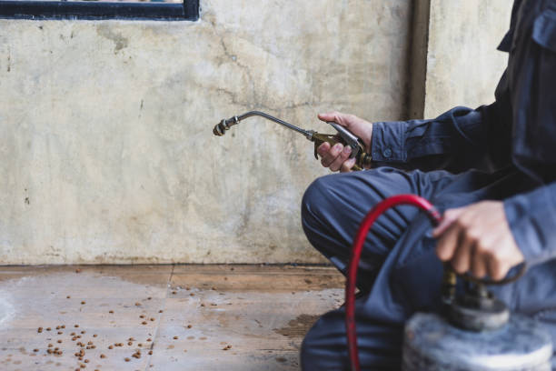 Best Affordable Pest Control Services  in Oak Point, TX