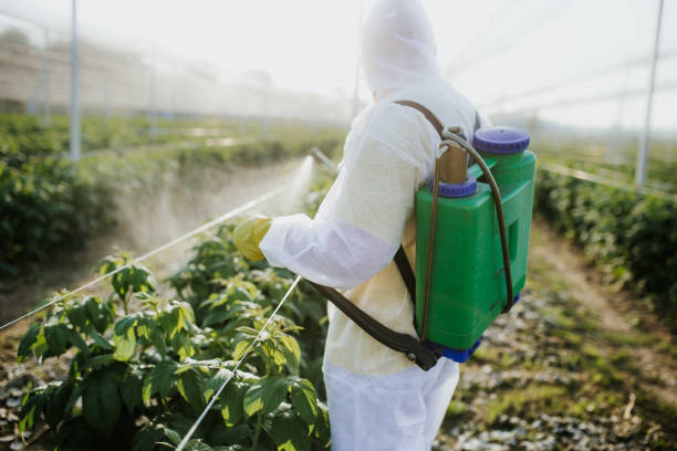 Best Mosquito Control Services  in Oak Point, TX